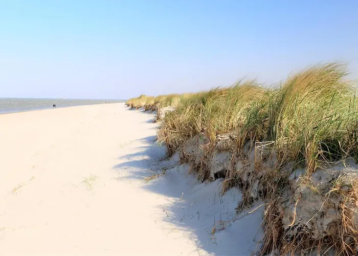 50 5 M Ankerplatz Διαμέρισμα *